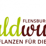 Workshop: "Wie wir Wälder im Alltag schützen oder zerstören" mit Waldwuchs Flensburg