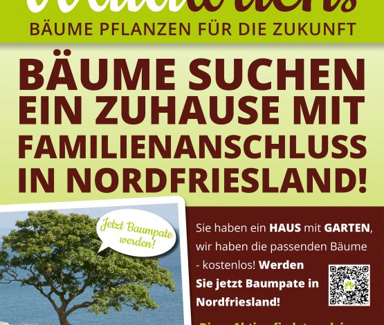 Plakat Baumpatenschaft NF 2023