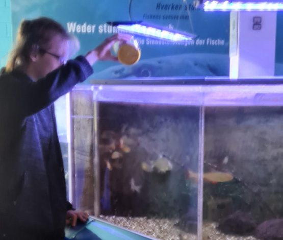 Junger Mann reinigt ein Aquarium