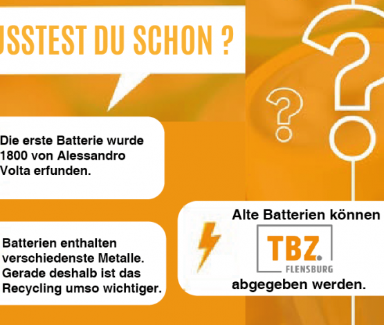 Beitragsbild TBZ Batterien