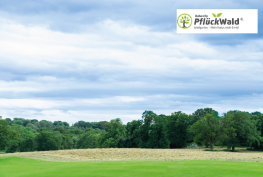 Permakultur-Waldgarten Harrislee Wald im Hintergrund vorne eine Wiese