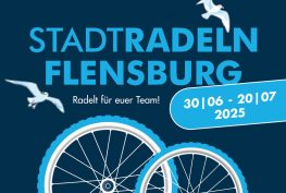 Stadtradeln Poster für aktiven Klimaschutz