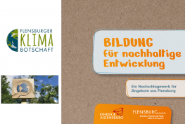 Cover der Broschüre Bildung für nachhaltige Entwicklung als Angebot des Kinder- und Jugendbüros Flensburg