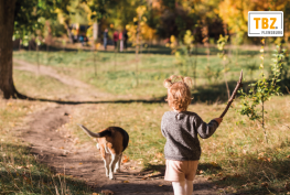TBZ Übersicht zu den Grün- und Aktiviätsflächen in Flensburg
