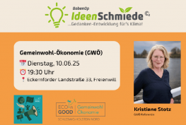 Poster der Gemeinwohl Ökonomie Veranstaltung.