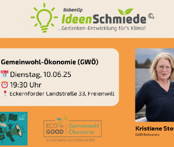 Poster der Gemeinwohl Ökonomie Veranstaltung.