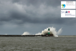Große Welle trifft auf Leuchturm, Logos der Partner zum Seminar nachhaltiger Küstenschutz