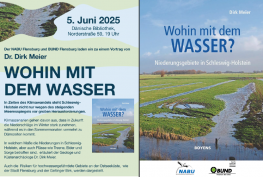 Poster des Nabu und Bund Flensburg zur Veranstaltung Wohin mit dem Wasser