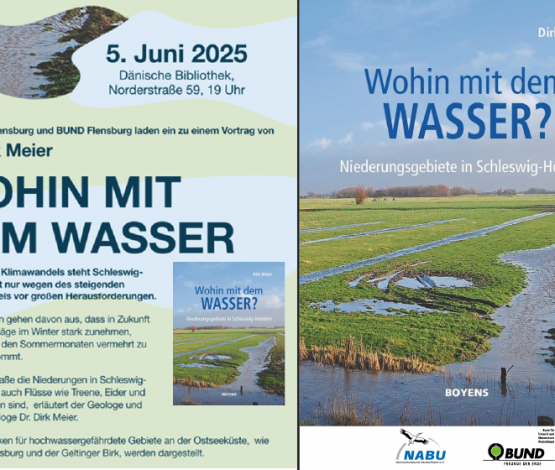 Poster des Nabu und Bund Flensburg zur Veranstaltung Wohin mit dem Wasser
