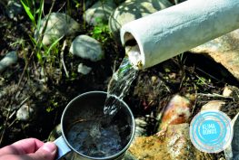 Thema Wasser und Duschkopf Tausch Klimabonus, Quellwasser und Tasse drunter