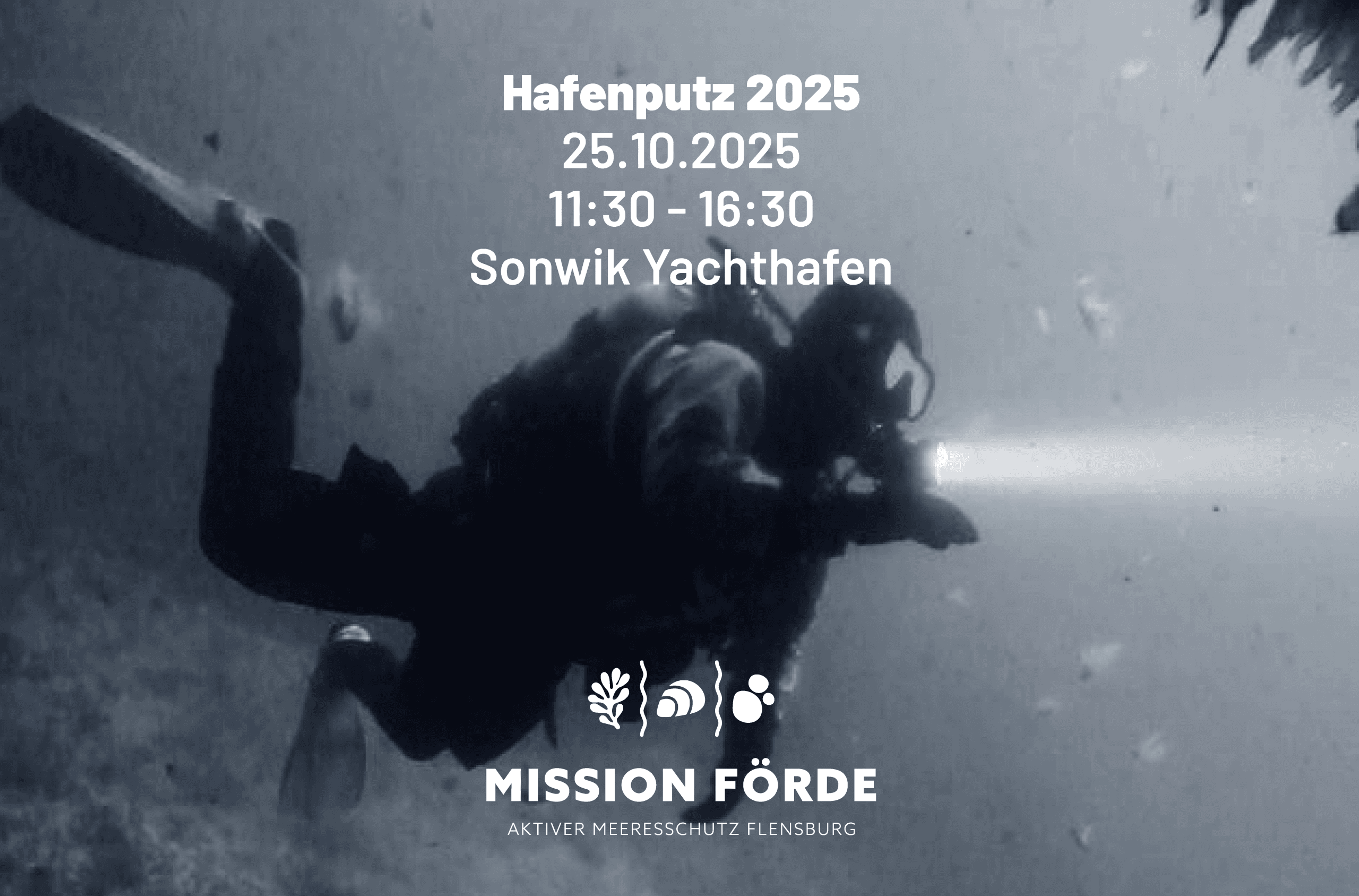 Einladung zum Hafenputz 2025