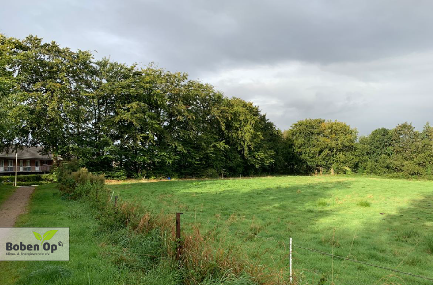 Tiny-Forest Pflanzaktion im Pflückwald Harrislee – mach mit!